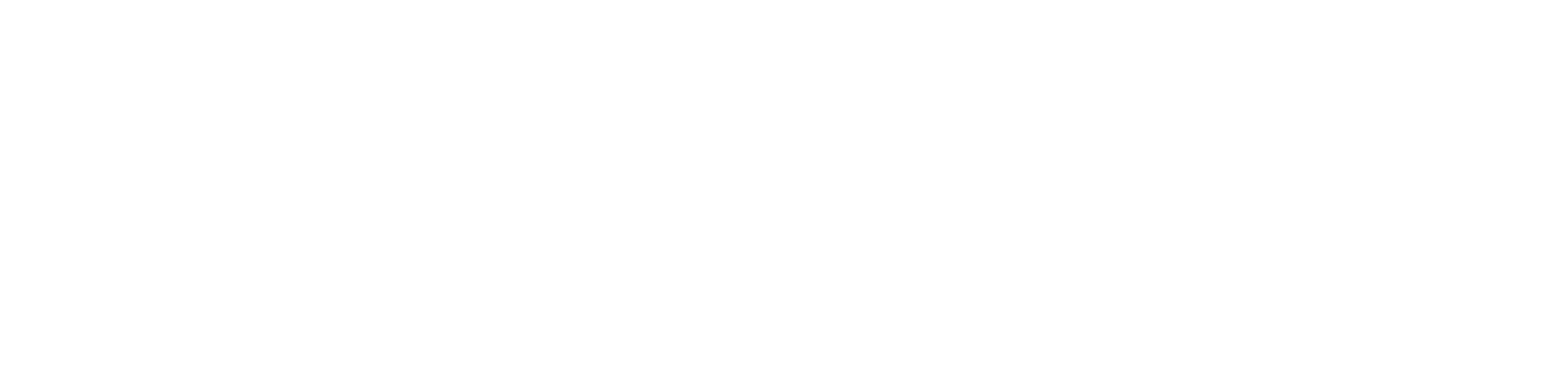 NiSV Bildungsallianz Logo_white